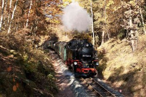 Zug der Weißeritztalbahn im goldenen Oktober