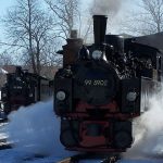 Selketalbahn: NWE 11 und 12 im Bahnhof Gernrode