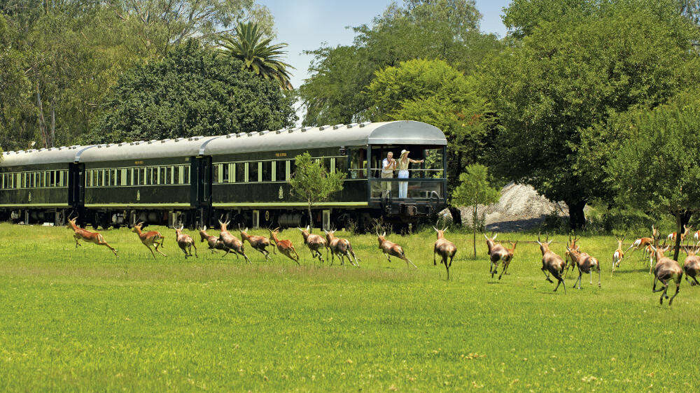 Aussichtsplattform des Rovos Rail - Zugreise Afrika